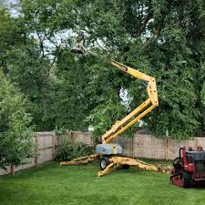 Artificial Turf Installation in North Spearfish, SD